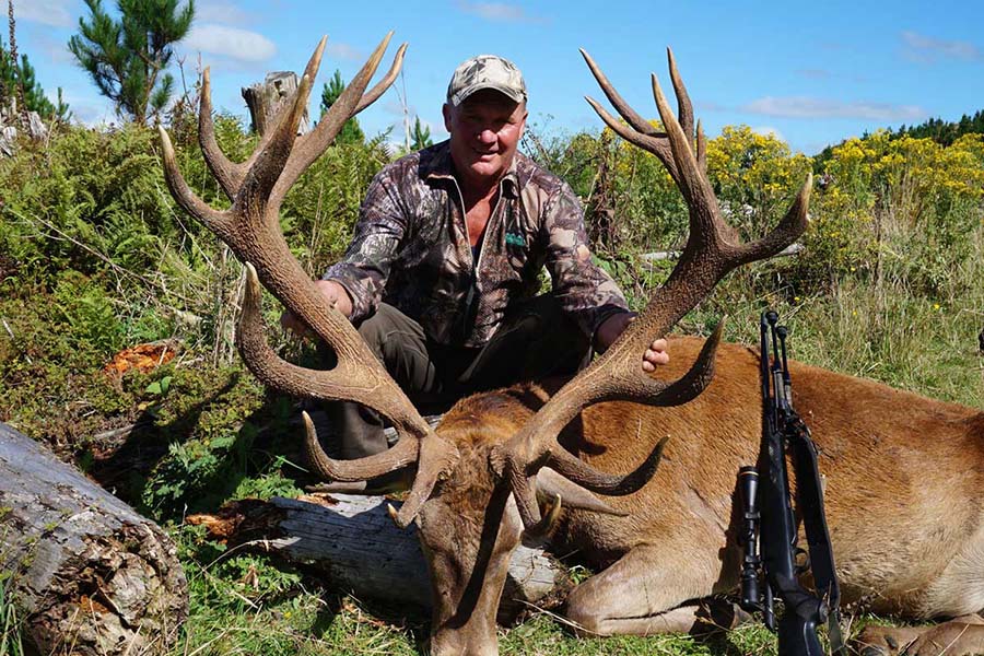 Red Deer Trophy Hunting Treetops Lodge Rotorua New Zealand hunting packages